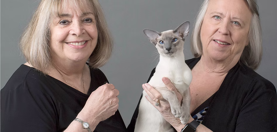 Siamese Kittens For sale