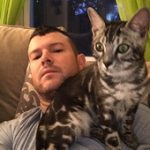 Siamese Kittens For Adoption Near Me