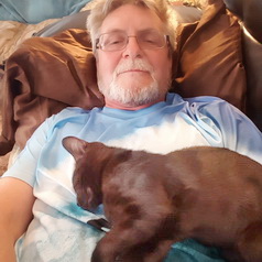 Kittens for sale Near USA