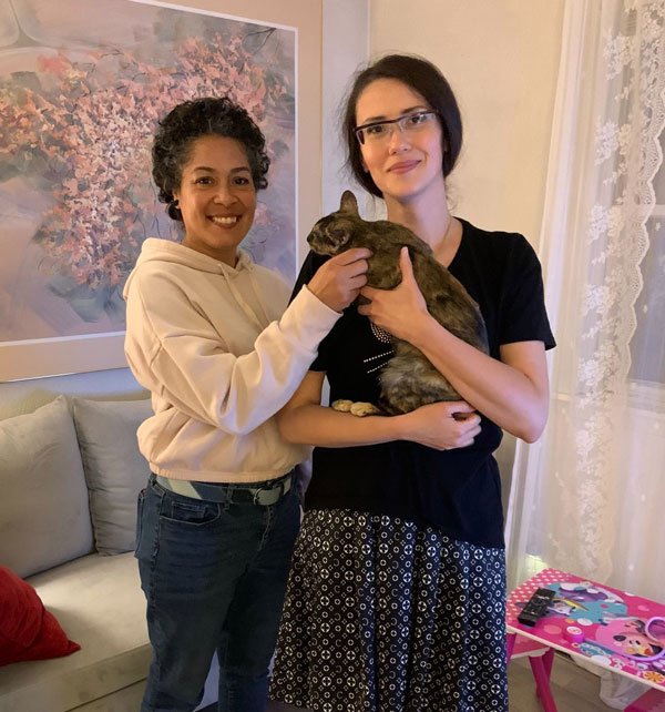 Buy Siamese cat and kittens Near Me