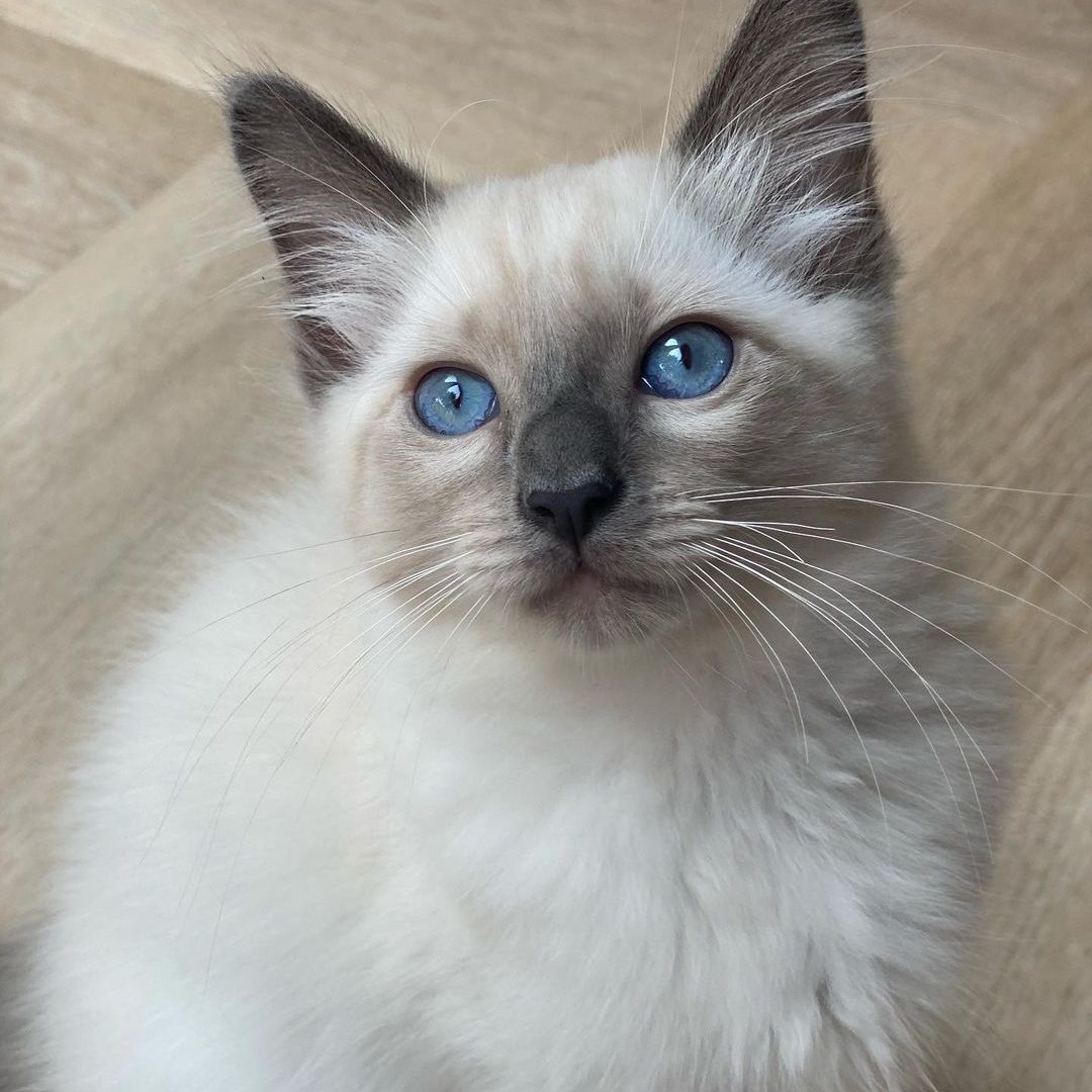 charlie and scottie (31)